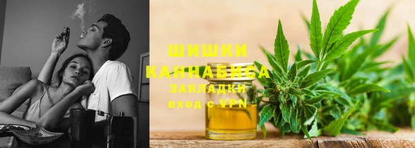 амф Вяземский