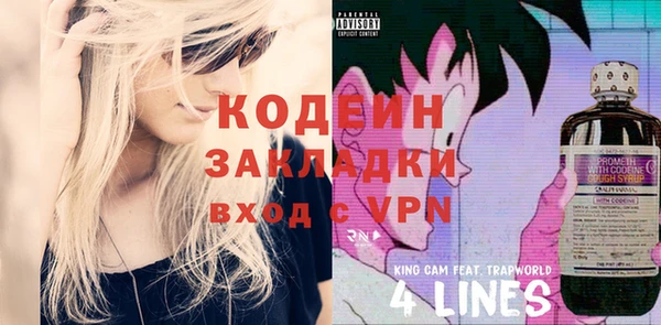 амф Вяземский