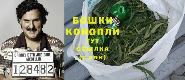 эйфоретик Чекалин