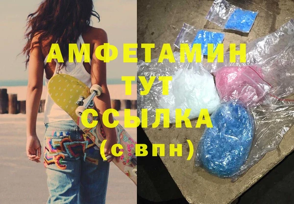 амф Вяземский