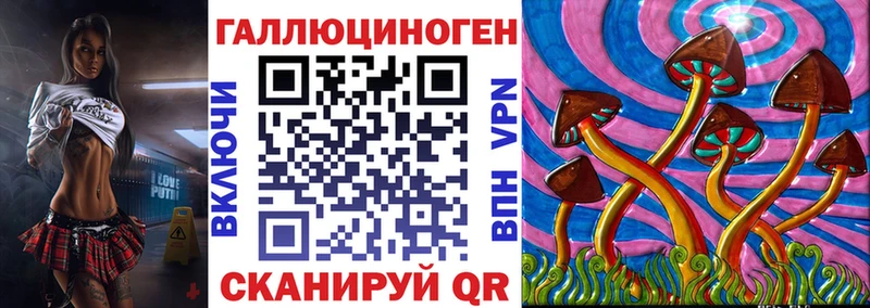 KRAKEN как войти  где можно купить наркотик  Брянск  Псилоцибиновые грибы Psilocybe 